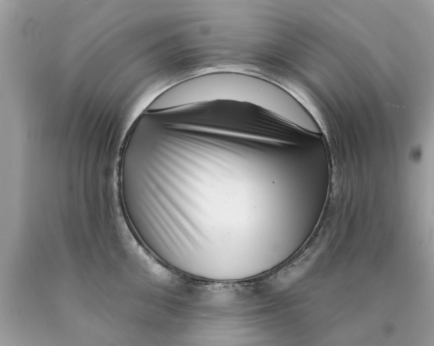 X0000089880906200707262207