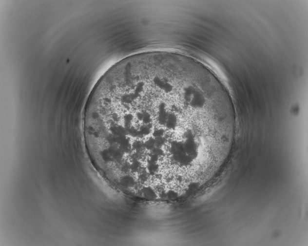 X0000089880907200707262207