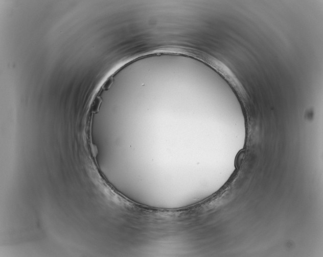 X0000089880908200707262207