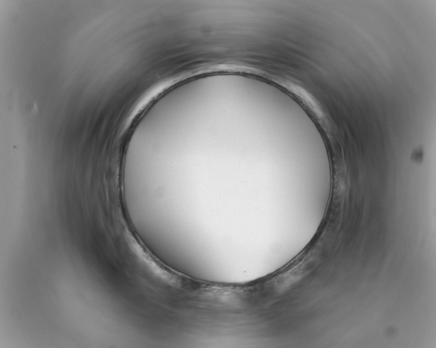 X0000089880910200707262207