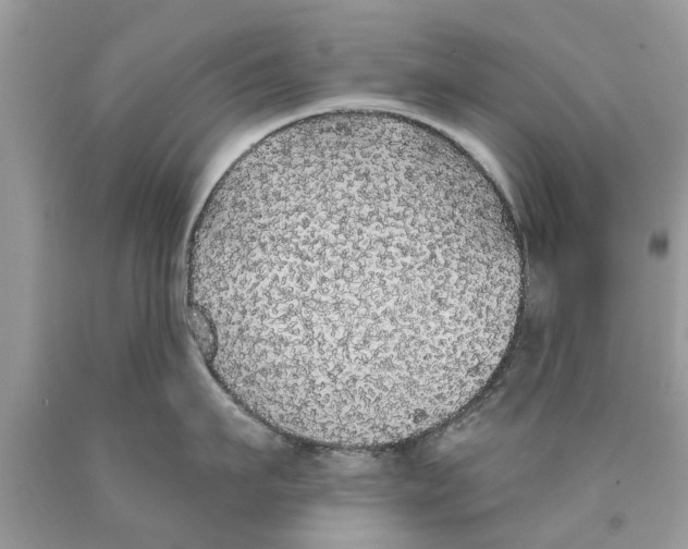 X0000089880911200707262207