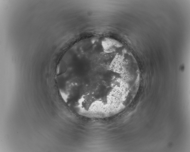 X0000089880913200707262206