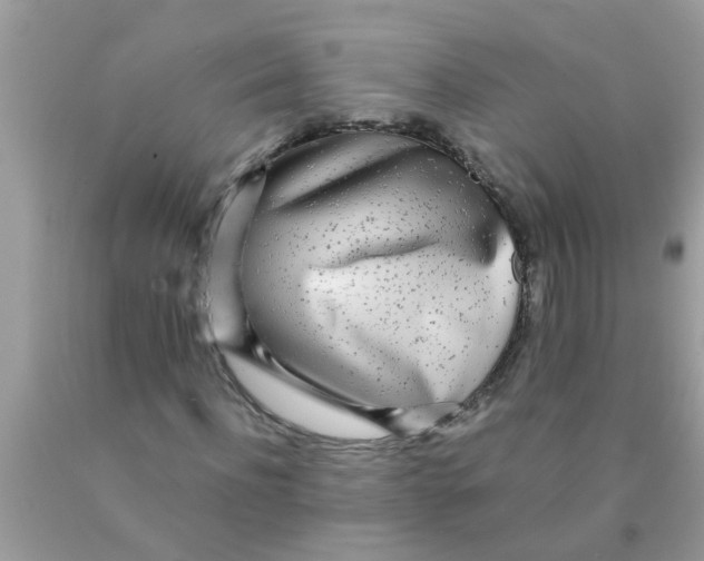 X0000089880916200707262206