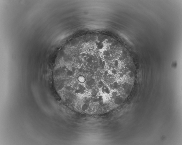 X0000089880917200707262206