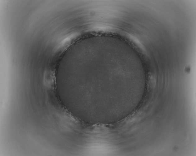 X0000089880918200707262206