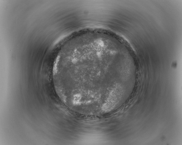 X0000089880919200707262206