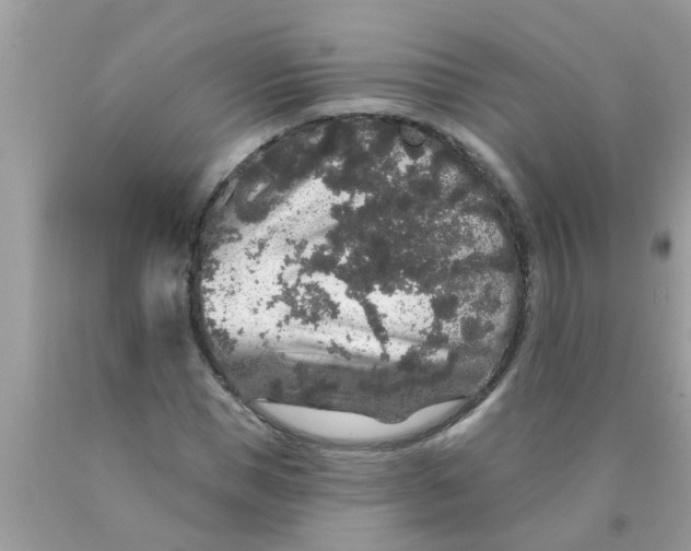 X0000089880921200707262206