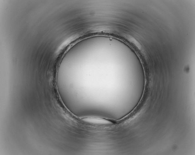 X0000089880922200707262206