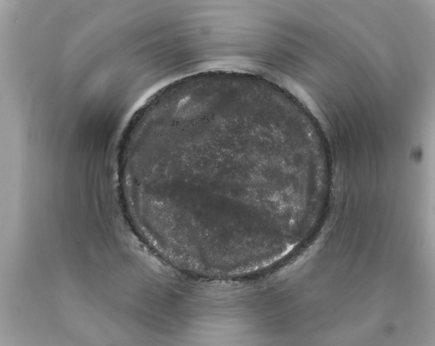 X0000089880923200707262206