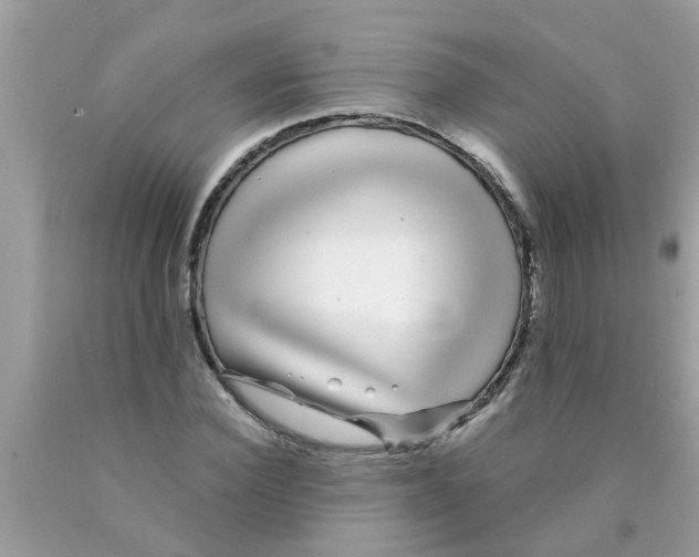 X0000089880924200707262206