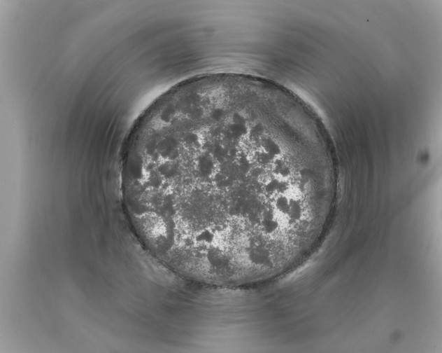 X0000089880925200707262206