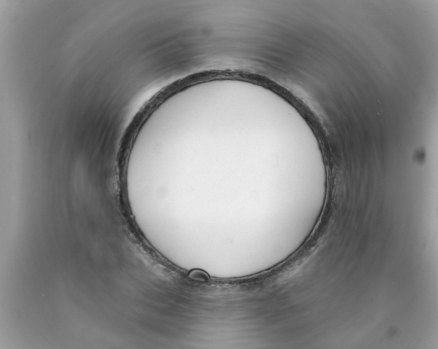 X0000089880927200707262206