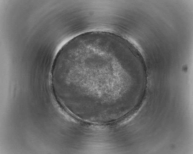 X0000089880928200707262206