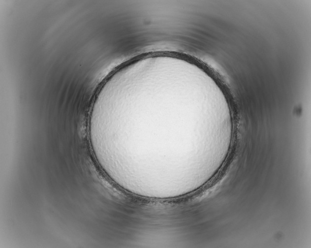 X0000089880929200707262206