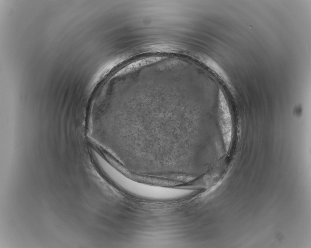 X0000089880930200707262207