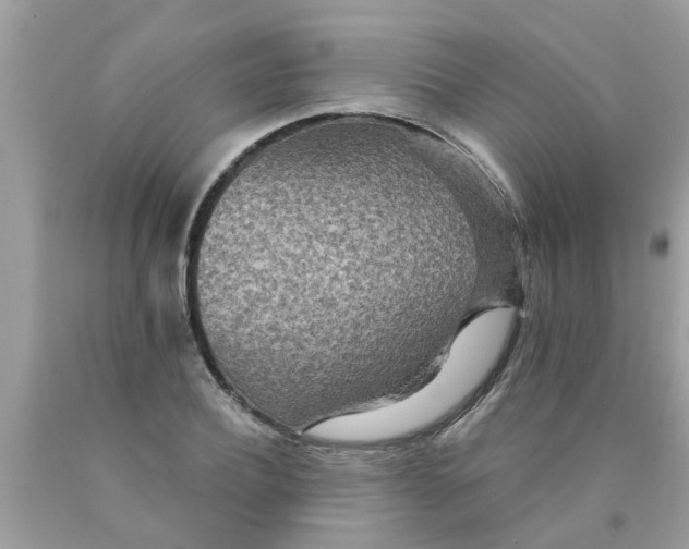 X0000089880932200707262207