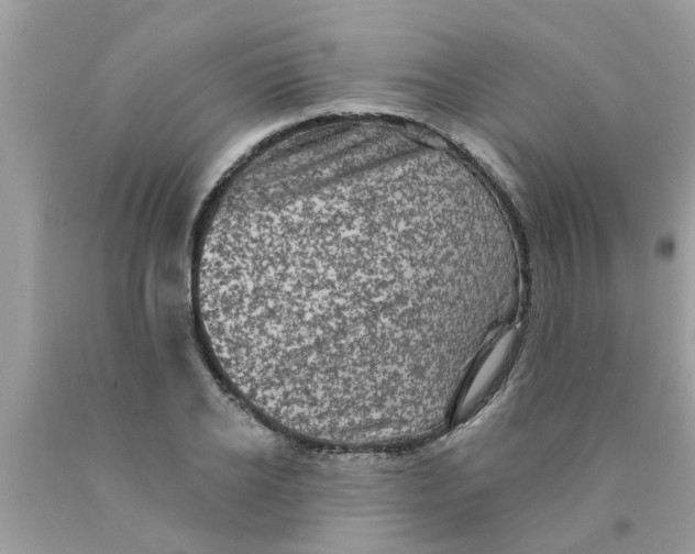 X0000089880934200707262207