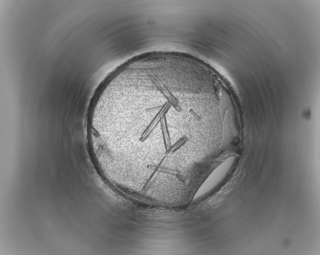 X0000089880935200707262207