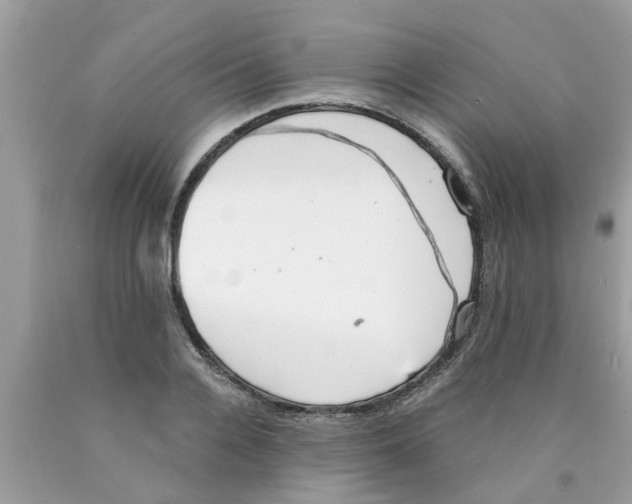 X0000089880936200707262207