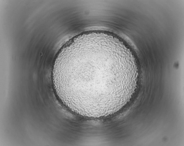 X0000089880937200707262207