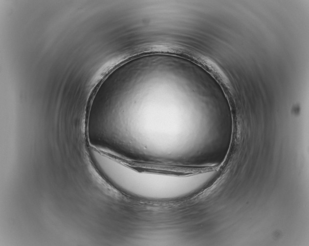 X0000089880938200707262207