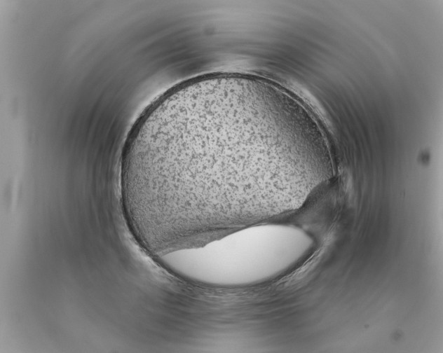 X0000089880939200707262207