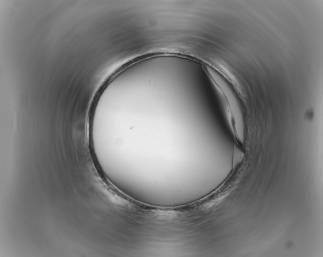 X0000089880940200707262207