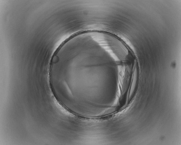 X0000089880941200707262207