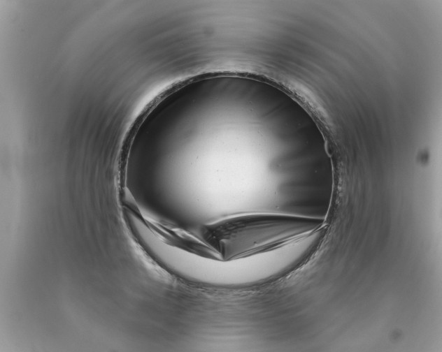 X0000089880942200707262207