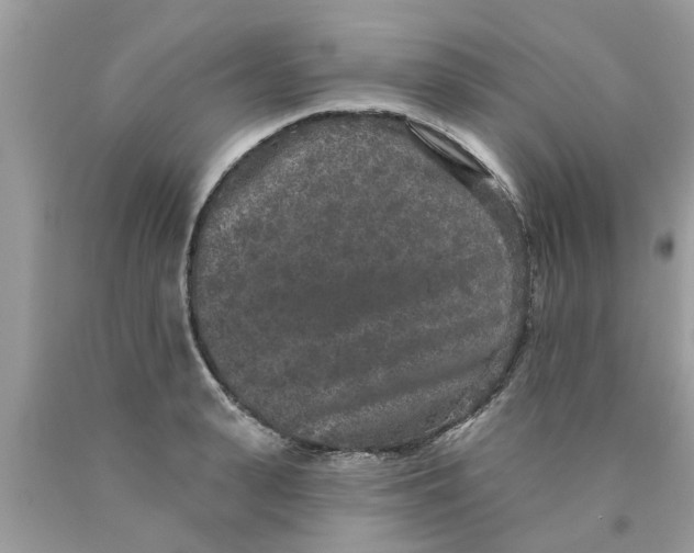 X0000089880943200707262207