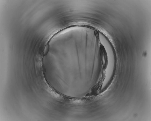 X0000089880945200707262207