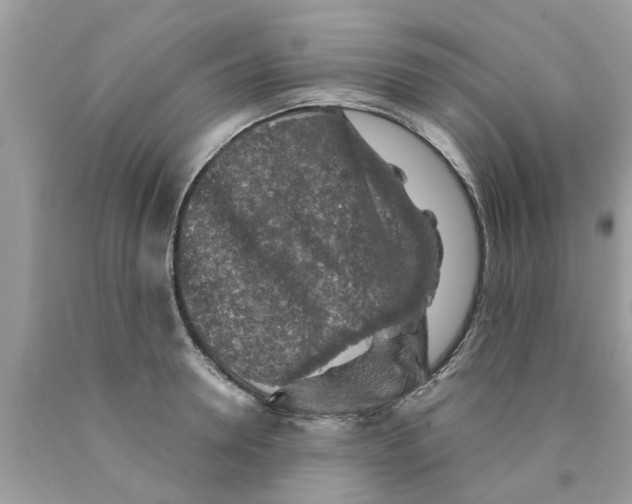 X0000089880946200707262207