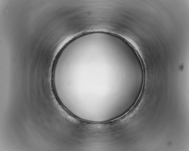 X0000089880949200707262207