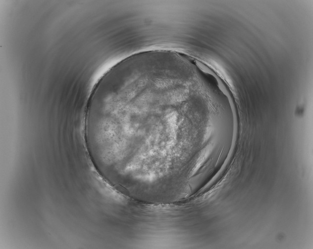 X0000089880952200707262207