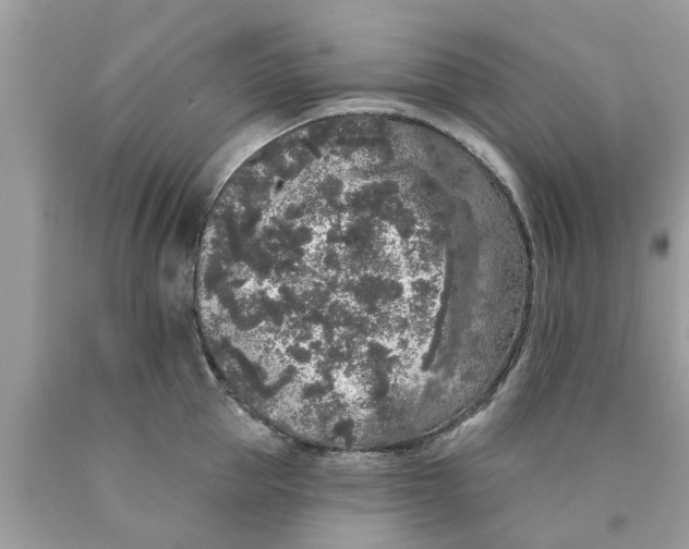 X0000089880953200707262207