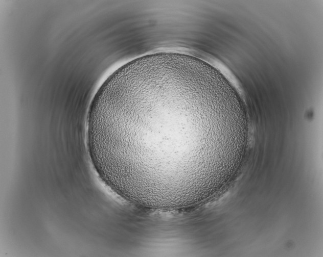 X0000089880955200707262207