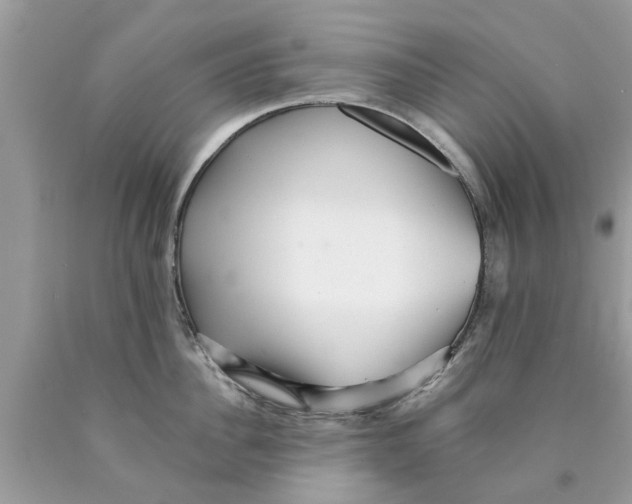 X0000089880956200707262207