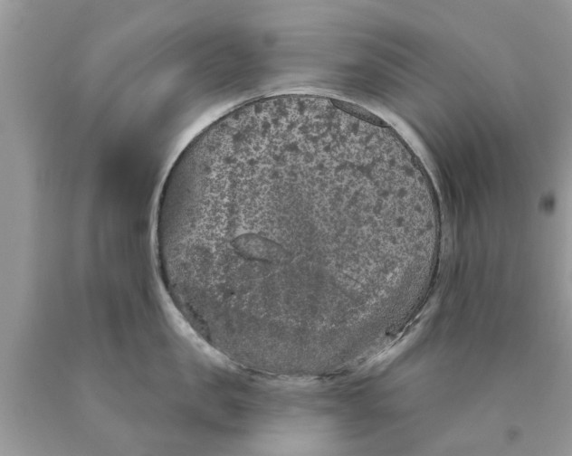 X0000089880957200707262207