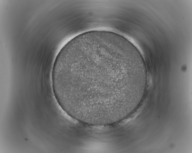 X0000089880959200707262207