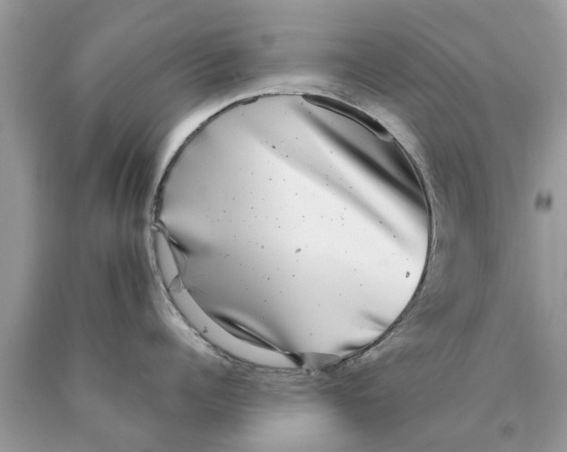 X0000089880960200707262207