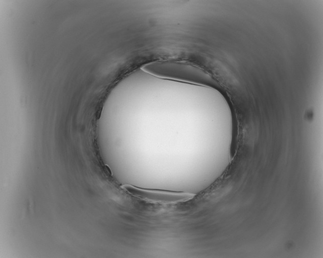 X0000089880961200707262206