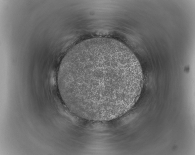 X0000089880962200707262206