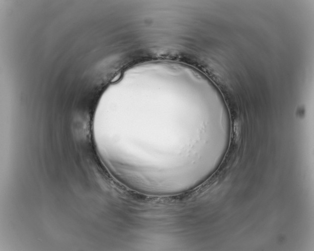 X0000089880963200707262206