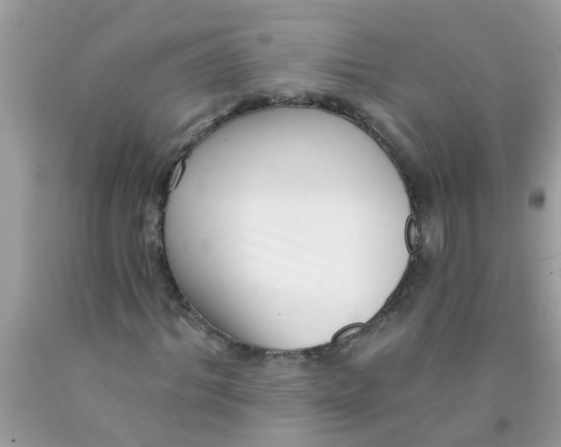 X0000089880964200707262206