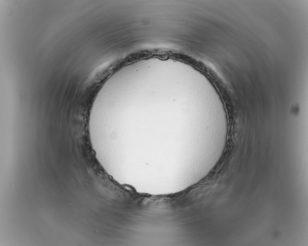 X0000089880967200707262206