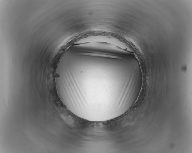 X0000089880968200707262206