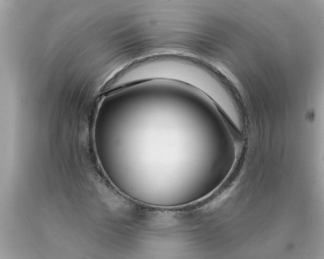 X0000089880969200707262206