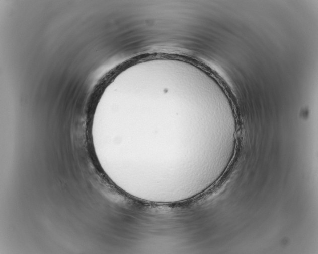 X0000089880971200707262206