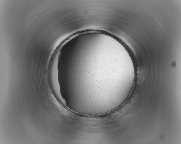 X0000089880972200707262206