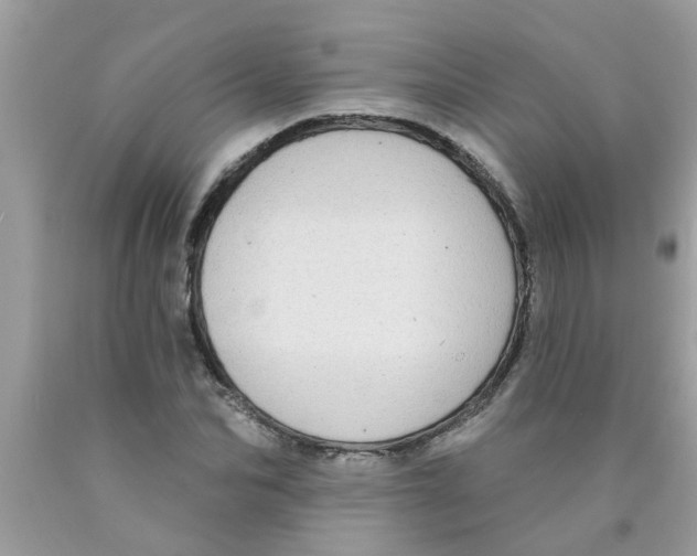 X0000089880974200707262206